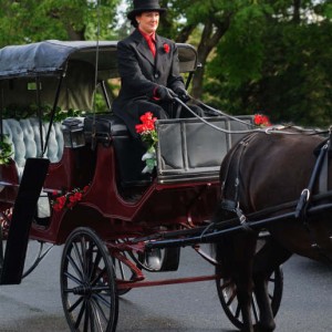 Pinewood Stables Carriage Service