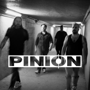 Pinion