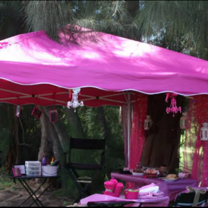 Pink Tiara Events