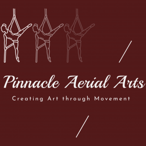 Pinnacle Aerial Arts - Aerialist in Burnsville, Minnesota