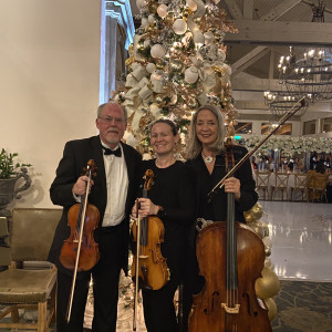 Plays Well With Others - Classical Ensemble / Holiday Party Entertainment in Hemet, California