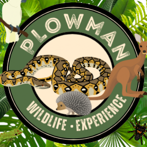 Plowman Wildlife Experience