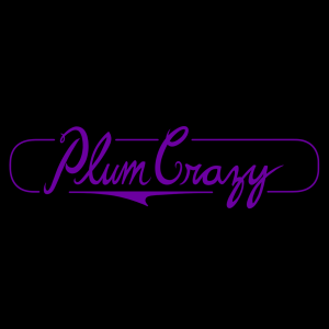 Plum Crazy - Party Band / Halloween Party Entertainment in Taber, Alberta