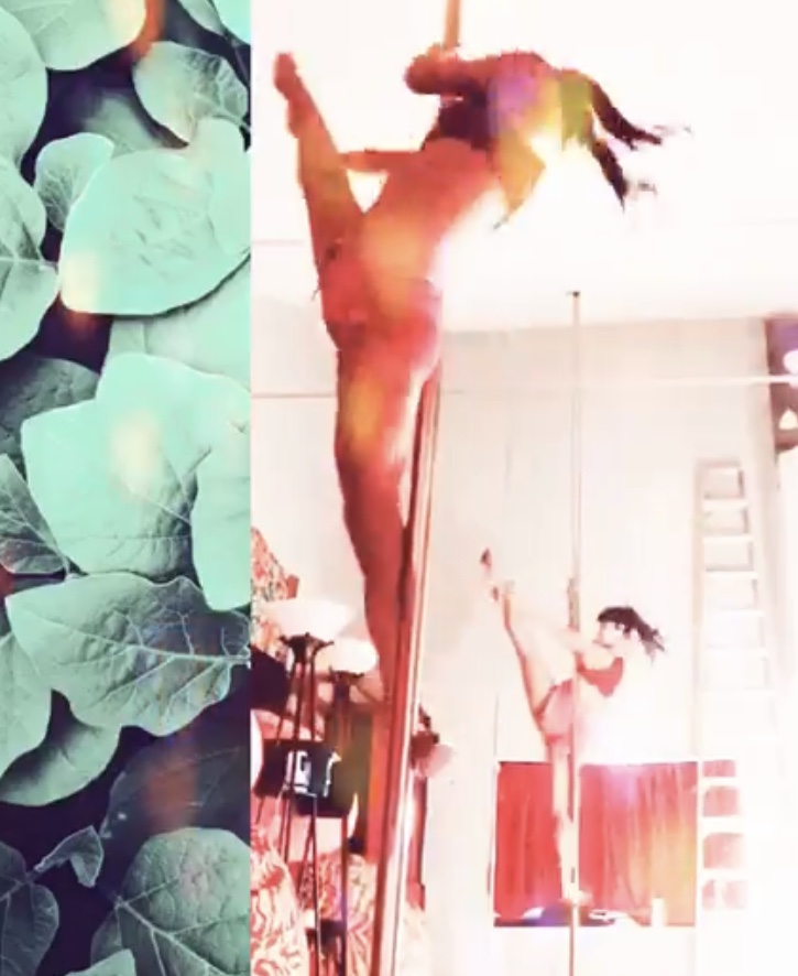 Gallery photo 2 of Pole Dancer