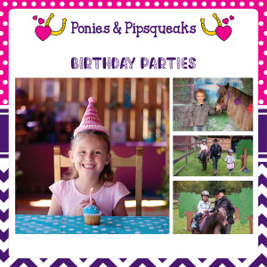 Ponies and Pipsqueaks - Pony Party in Victoria, British Columbia