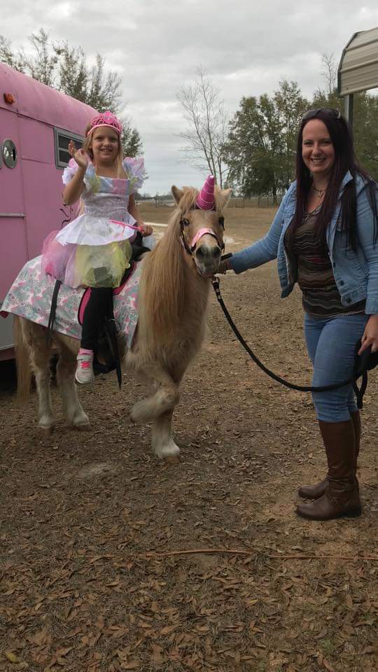Gallery photo 1 of Dream Party Ponies & Petting Zoo