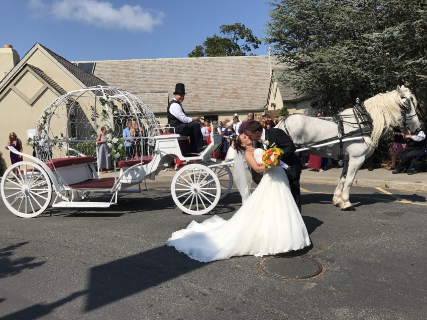Hire Ponies Will Travel Pony Parties Horse Drawn Carriage in