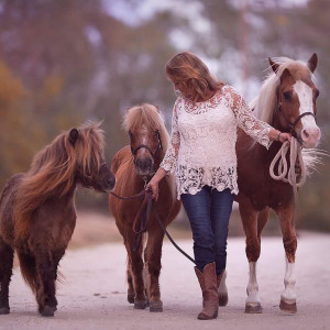 Pony Tales LLC - Pony Party / Petting Zoo in New Smyrna Beach, Florida