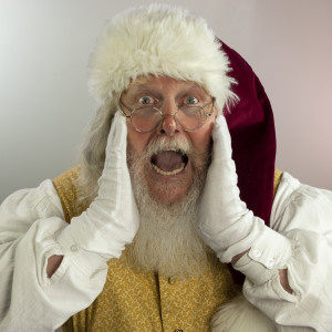 Portage Path Santa - Santa Claus / Holiday Party Entertainment in Akron, Ohio