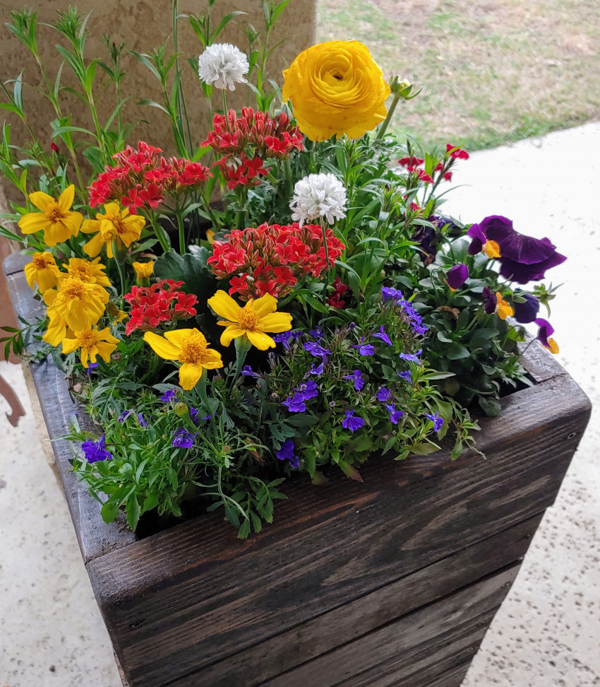 Hire Pots and Posies Wedding Florist in Hanford, California