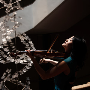 Precious Moment Violin Service - Violinist / Strolling Violinist in Ottawa, Ontario