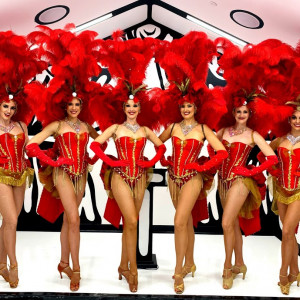 Premier Showgirls - Dancer in Las Vegas, Nevada