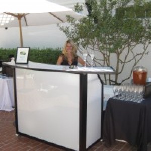 Primo Bar - Mobile Bartending Service