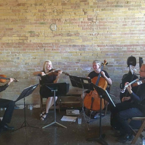 Primo Strings - String Quartet in Provo, Utah