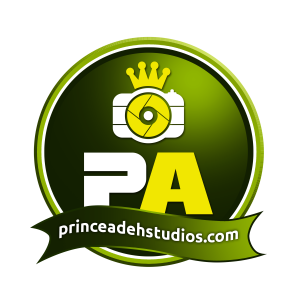 Prince Adeh Studios - Wedding Photographer / Headshot Photographer in Toronto, Ontario