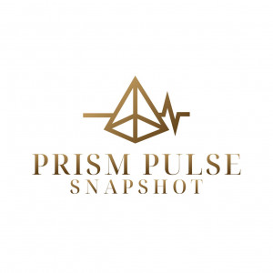 Prism Pulse Snapshot - Photo Booths / Wedding Entertainment in Winchester, Virginia