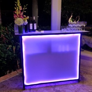 Pro Event Staff - Bartender / Wedding Services in Fort Lauderdale, Florida