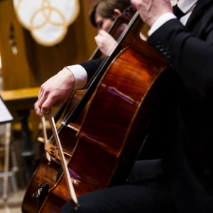 Professional Cellist - Cellist in Wheaton, Illinois