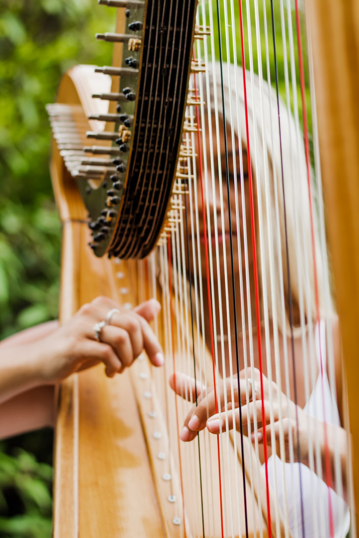 Gallery photo 1 of Professional Harpist