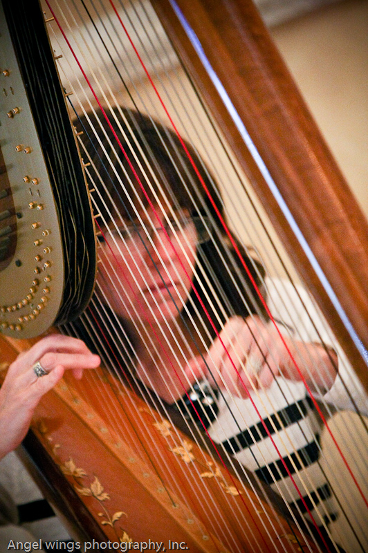 Hire Professional Harpist - Tampa - Harpist In Tampa, Florida