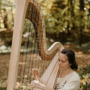 Professional Harpist, Ana Marija Weinhardt - Harpist / Celtic Music in Wooster, Ohio