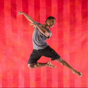 Professional performer and teacher - Ballet Dancer in Robbinsdale, Minnesota