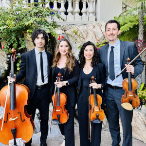 Put A String On It - String Quartet in Los Angeles, California