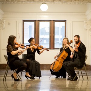 Quartet Evolution - String Quartet in Seattle, Washington