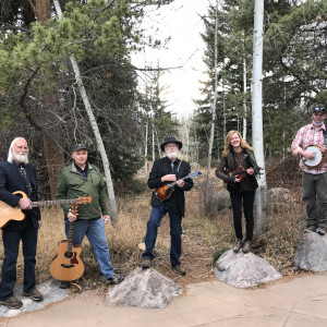 Quickdraw Homegrown Music - Bluegrass Band in Denver, Colorado