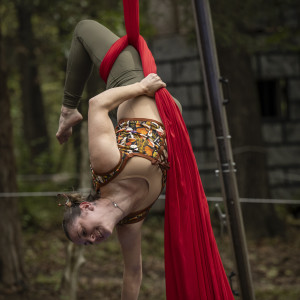 Tōpie Kazoo - Aerialist in Wentzville, Missouri