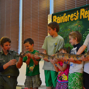 Rainforest Reptile Shows - Animal Entertainment in Beverly, Massachusetts