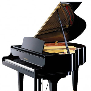 Randall - Classical Pianist - Classical Pianist in Purcellville, Virginia