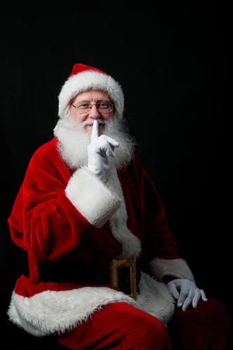 Gallery photo 1 of Real Beard Santa