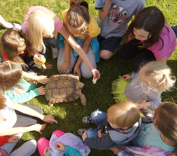 Hire Realm of the Reptile - Animal Entertainment in Akron, Ohio