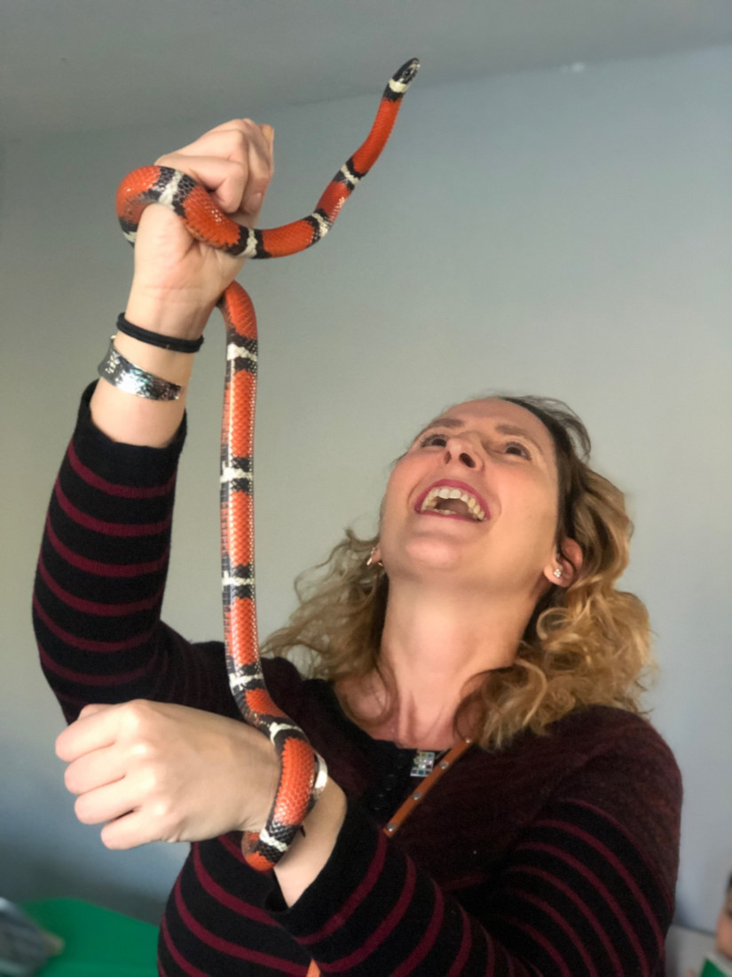 Hire Realm of the Reptile - Animal Entertainment in Akron, Ohio