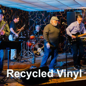Recycled Vinyl