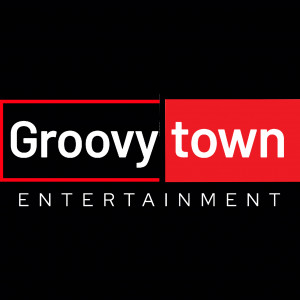 Groovytown Entertainment - Wedding DJ / Wedding Entertainment in St Paul, Minnesota