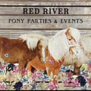 Red River Pony Parties & Events - Petting Zoo / Children’s Party Entertainment in Dade City, Florida