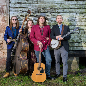 Remedy Tree - Bluegrass Band in St Augustine, Florida