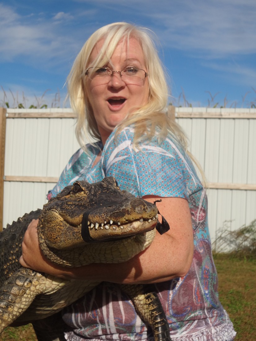 Hire Prehistoric World PA Reptile Show in Gettysburg, Pennsylvania
