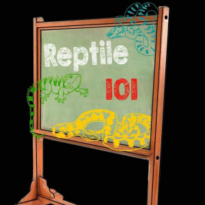 Reptile 101 - Animal Entertainment / Petting Zoo in Morven, North Carolina