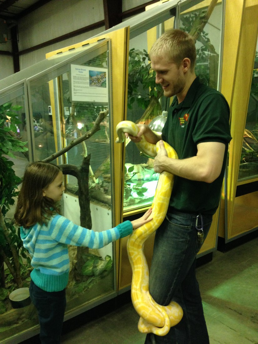 Hire Reptile & Amphibian Discovery Zoo Reptile Show in Owatonna
