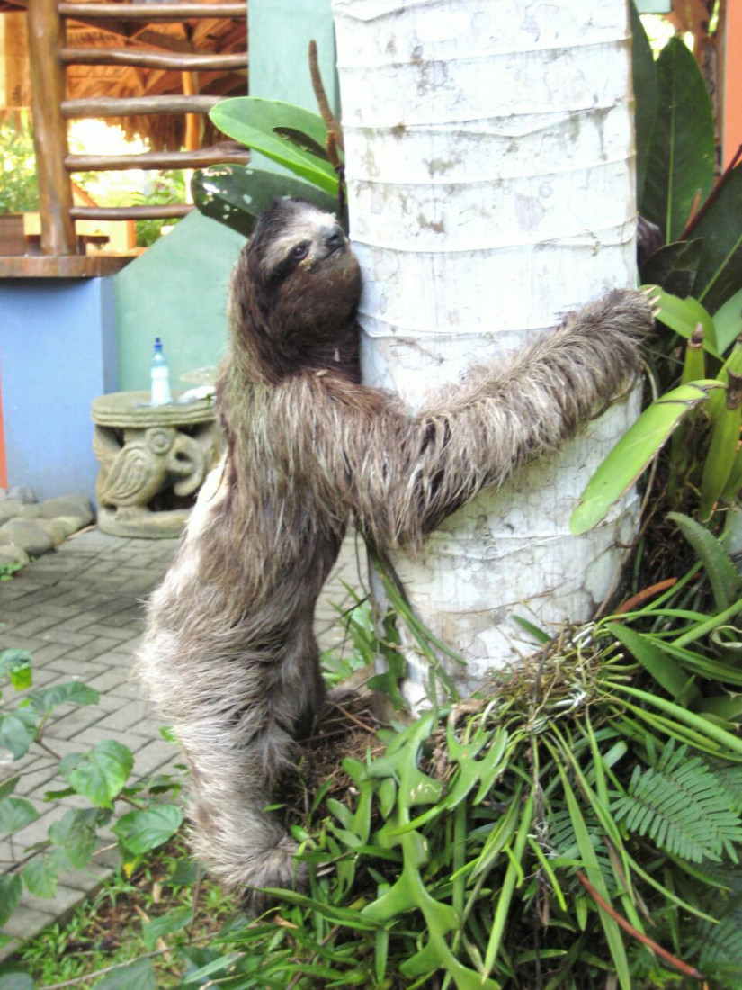 Hire Reptile Party & Wizard of Lizards Reptile Show in Hillsdale, New