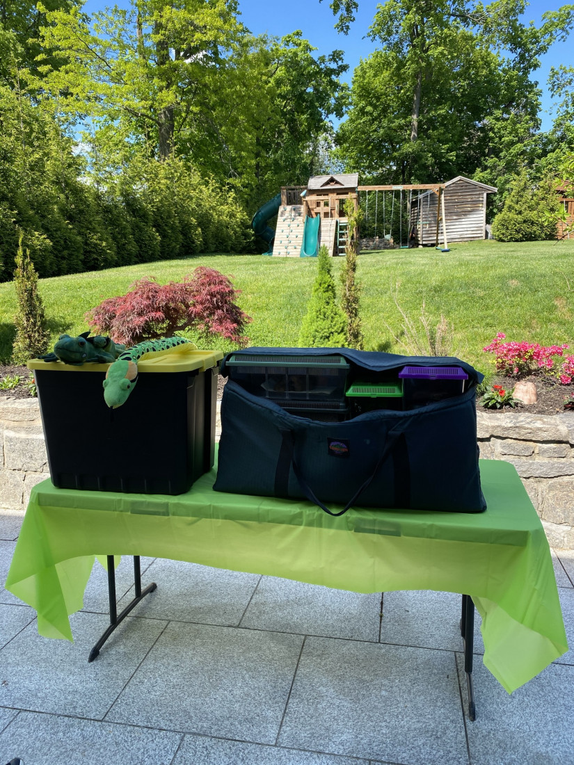 Hire Reptile Party & Wizard of Lizards Reptile Show in Hillsdale, New