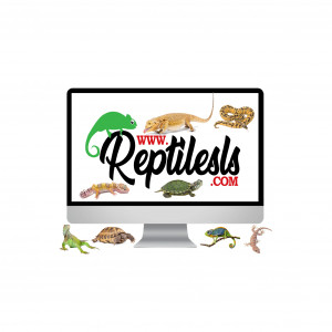 ReptilesLS Live Reptile Show - Reptile Show in Holland, Michigan