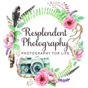 Resplendent Photography and Photo Booth - Photographer / Portrait Photographer in Mill Valley, California