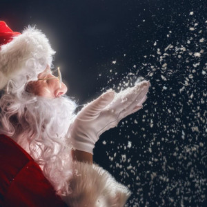 Nationwide Santa Entertainer - Santa Claus / Roast Master in Anaheim, California