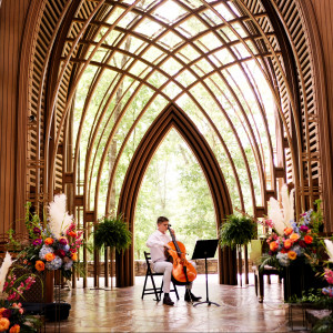 Rivers & the Cello - Cellist in Bentonville, Arkansas