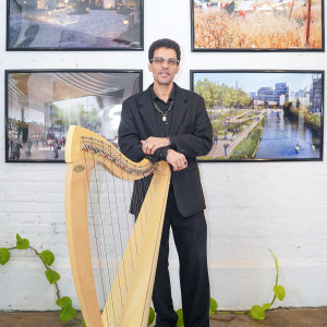 Robert Turner: Harpist for Weddings, Holidays, Ceremonies, Orchestra - Harpist in Chicago, Illinois