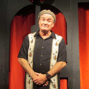 Robin Williams Impersonator - Stand-Up Comedian / Impersonator in Houston, Texas